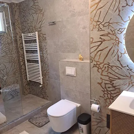 Dennis * טימישוארה