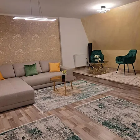 Dennis * 티미쇼아라