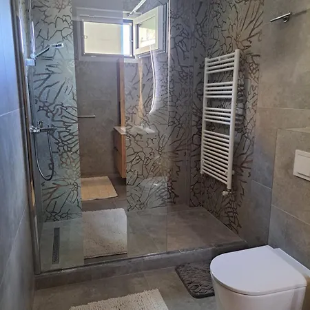 Dennis 아파트 티미쇼아라