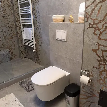 Dennis 아파트 티미쇼아라